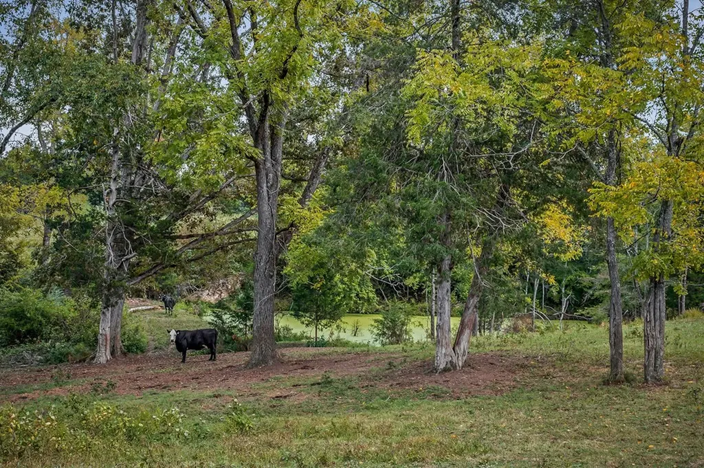 8495 Baxter Road Baxter TN 38544