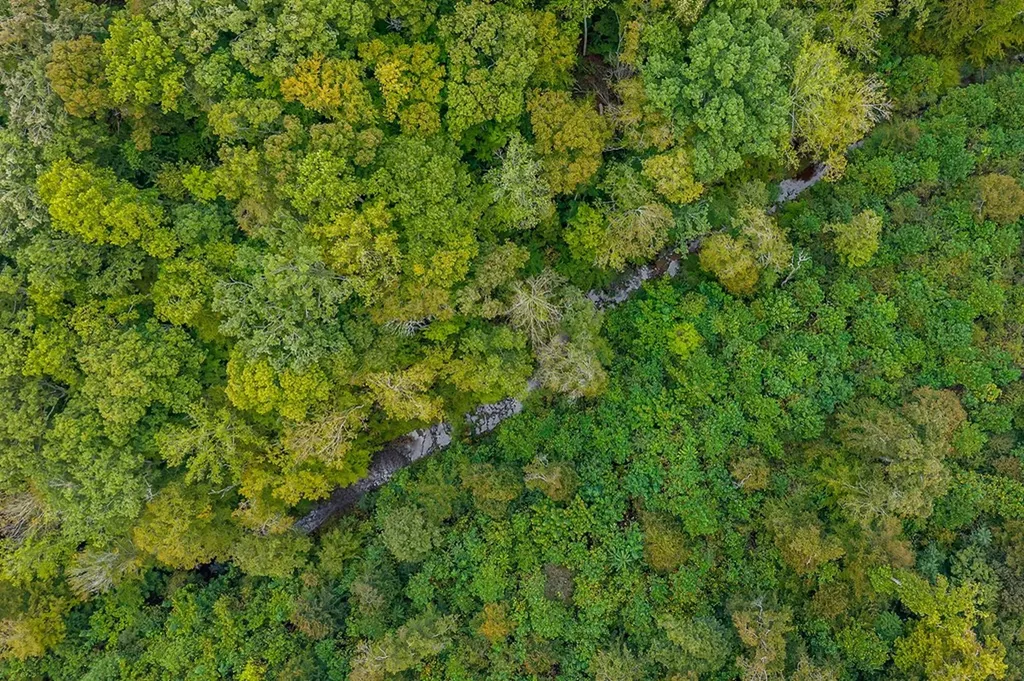 8495 Baxter Road Baxter TN 38544