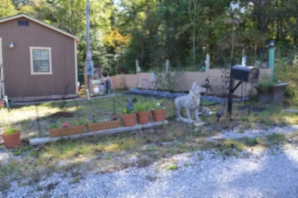 688 Boone Ridge Road Jamestown TN 38556