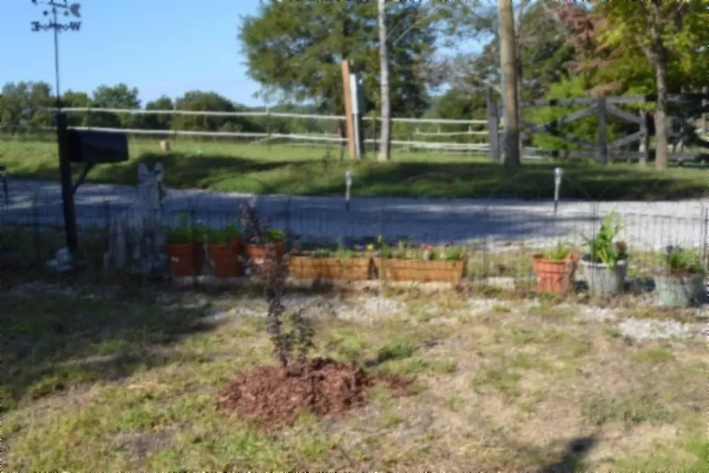 688 Boone Ridge Road Jamestown TN 38556