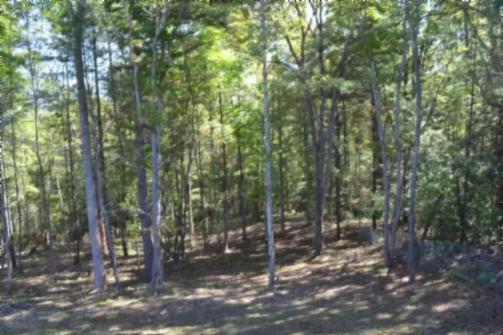 688 Boone Ridge Road Jamestown TN 38556