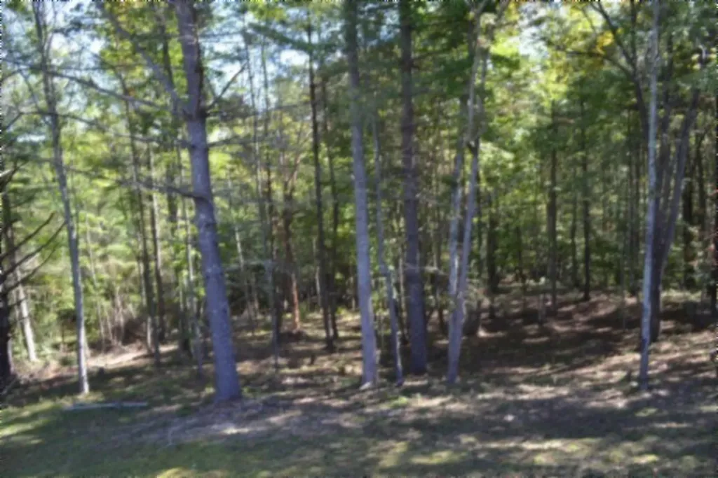 688 Boone Ridge Road Jamestown TN 38556