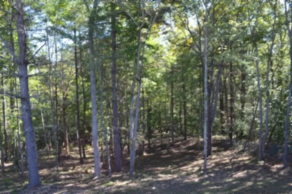 688 Boone Ridge Road Jamestown TN 38556