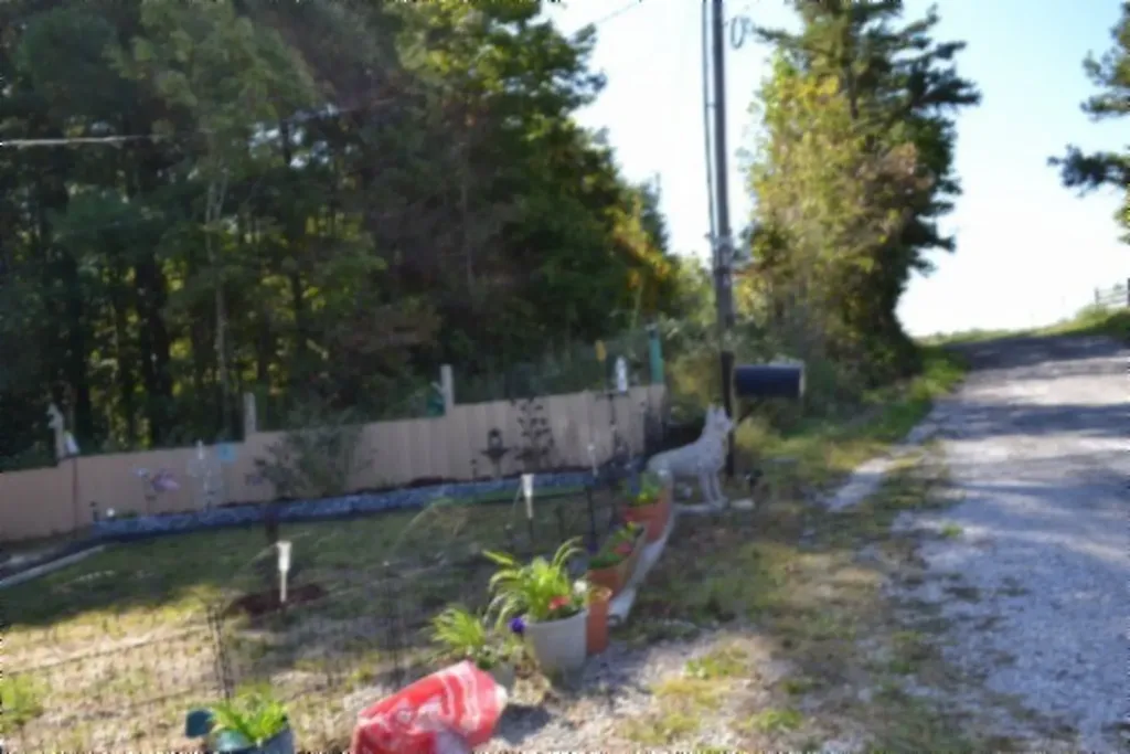 688 Boone Ridge Road Jamestown TN 38556