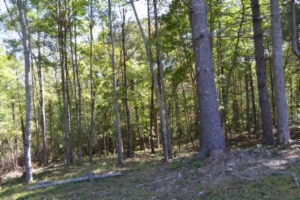 688 Boone Ridge Road Jamestown TN 38556