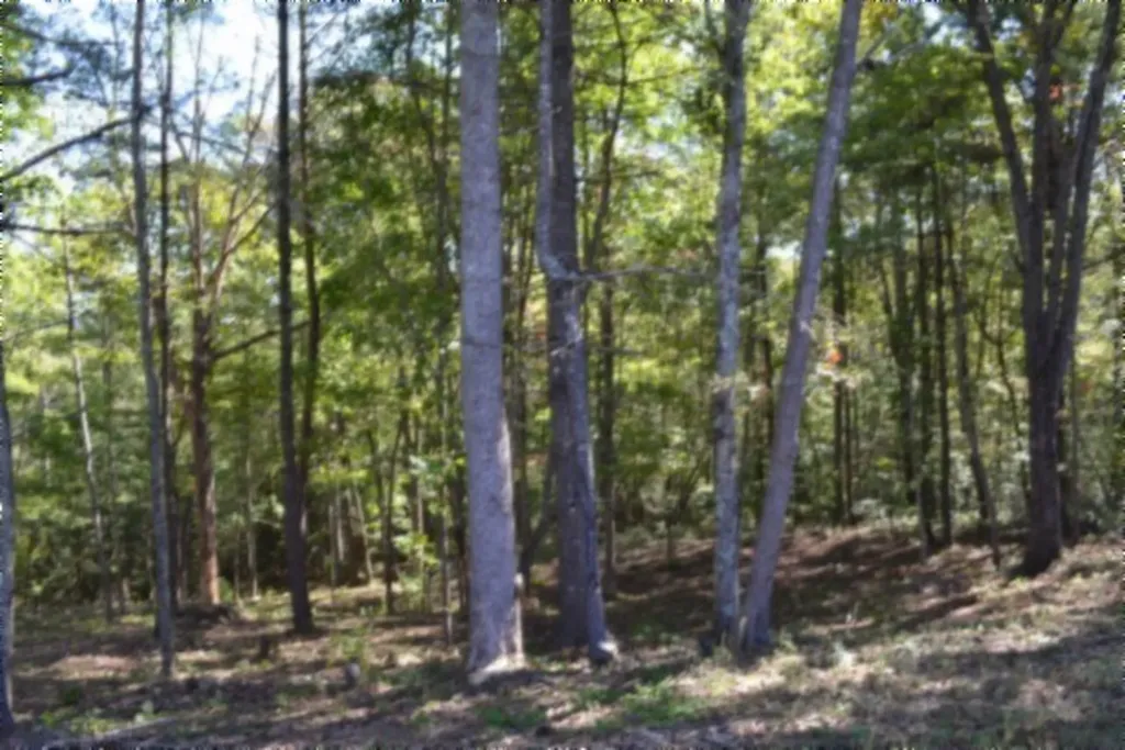 688 Boone Ridge Road Jamestown TN 38556