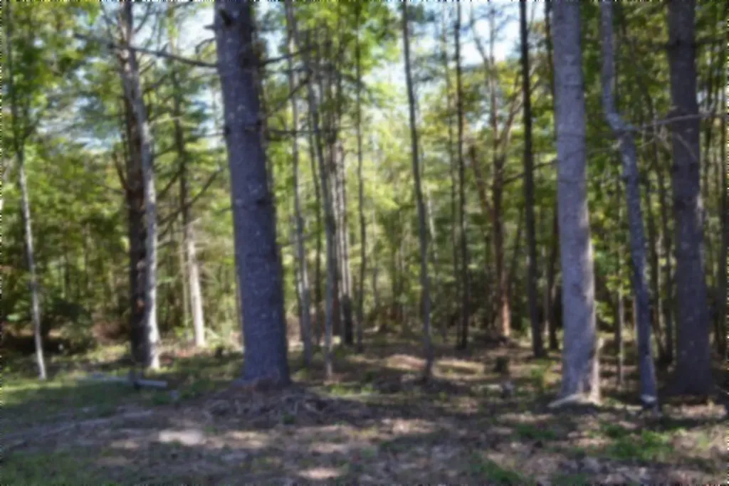 688 Boone Ridge Road Jamestown TN 38556