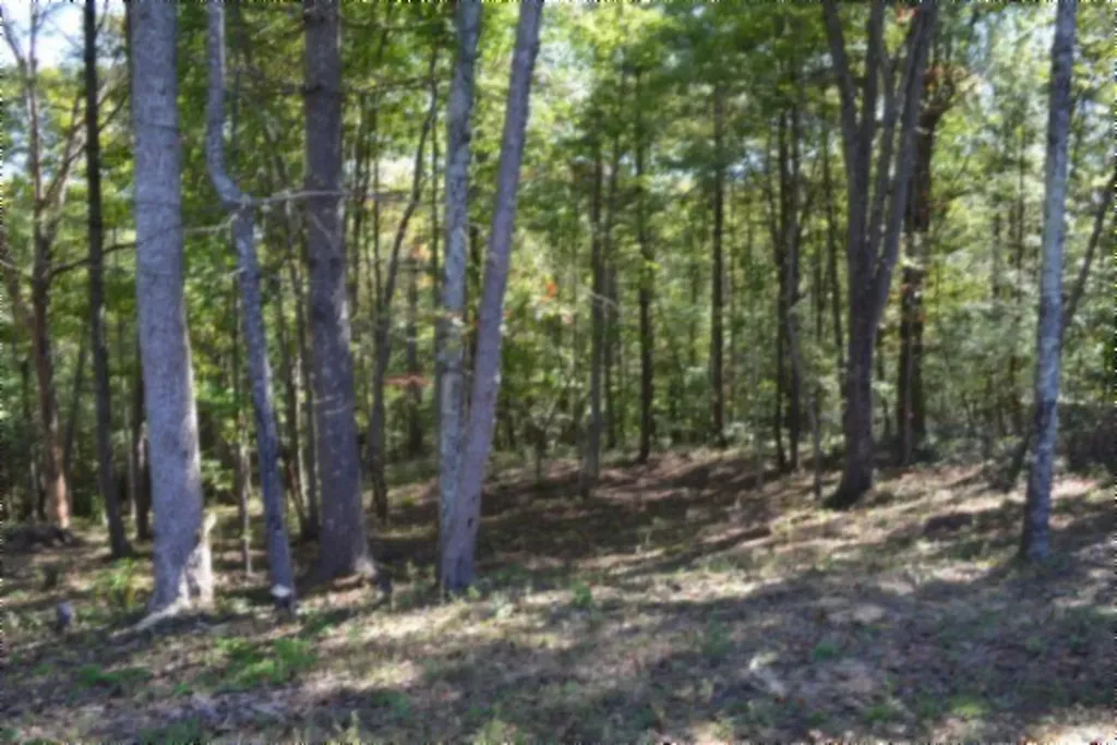 688 Boone Ridge Road Jamestown TN 38556