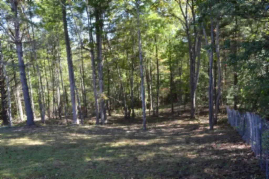 688 Boone Ridge Road Jamestown TN 38556