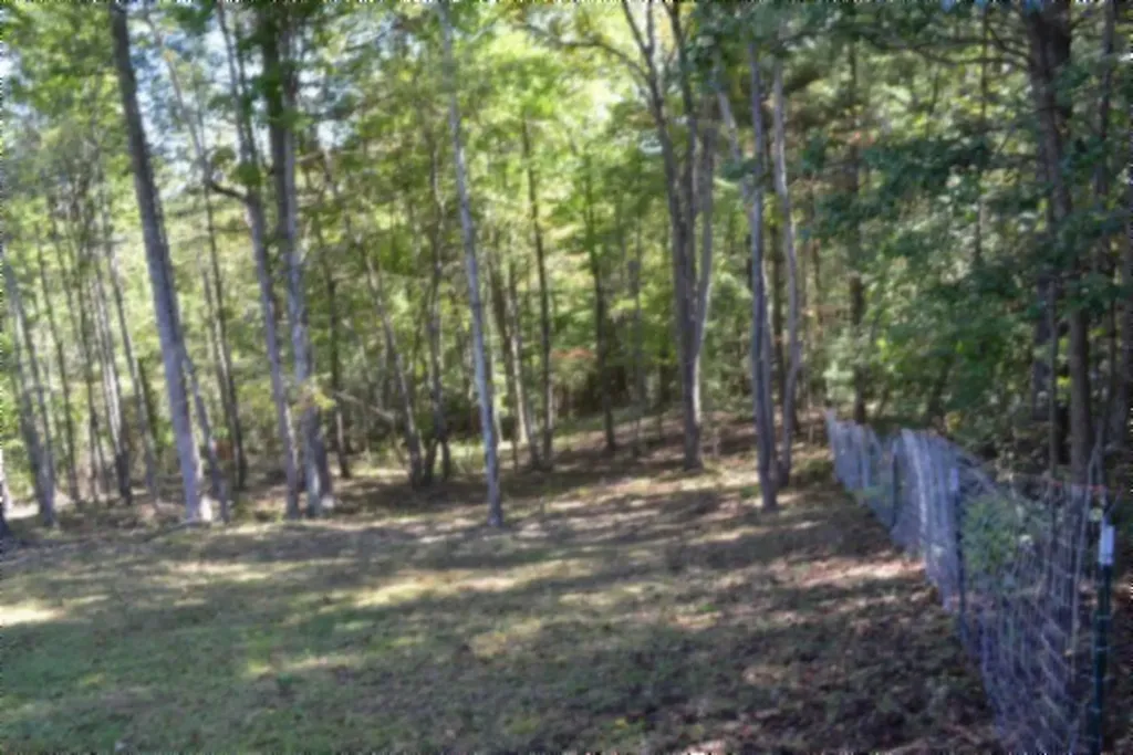 688 Boone Ridge Road Jamestown TN 38556