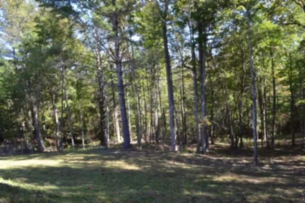 688 Boone Ridge Road Jamestown TN 38556