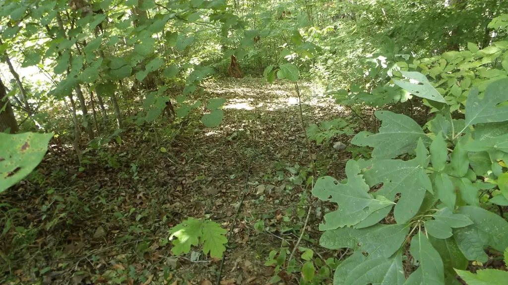 4179 Old Livingston Highway Celina TN 38551