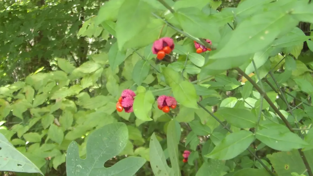 4179 Old Livingston Highway Celina TN 38551