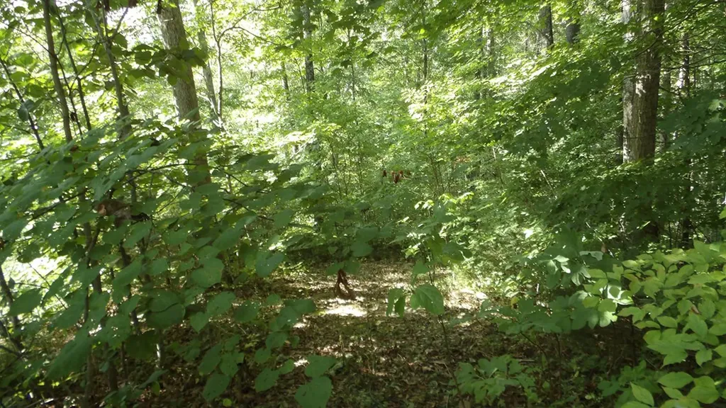 4179 Old Livingston Highway Celina TN 38551