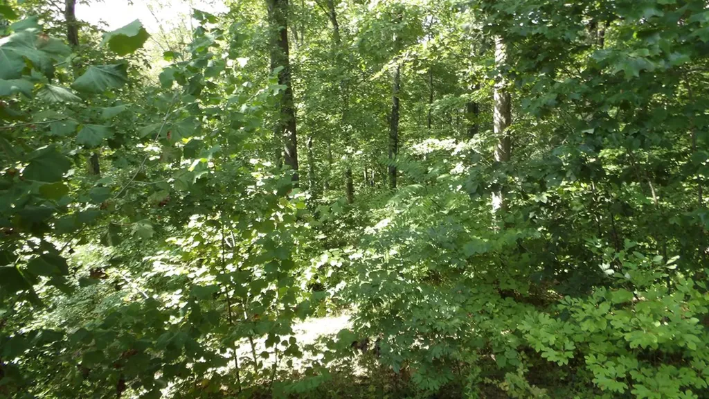 4179 Old Livingston Highway Celina TN 38551