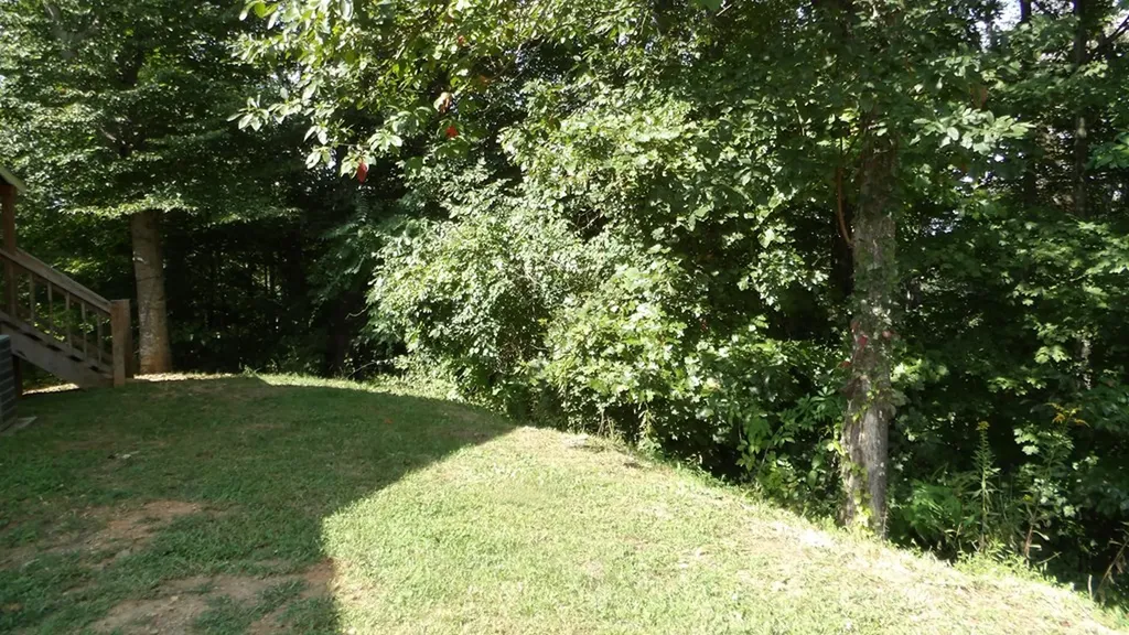 4179 Old Livingston Highway Celina TN 38551