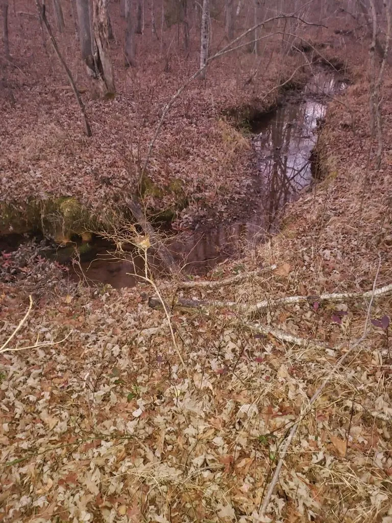Lot 45 Indian Trail Monterey TN 38574