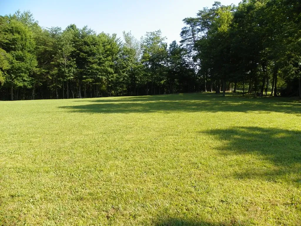 1.5 Ac Turkey Scratch Road Spencer TN 38585