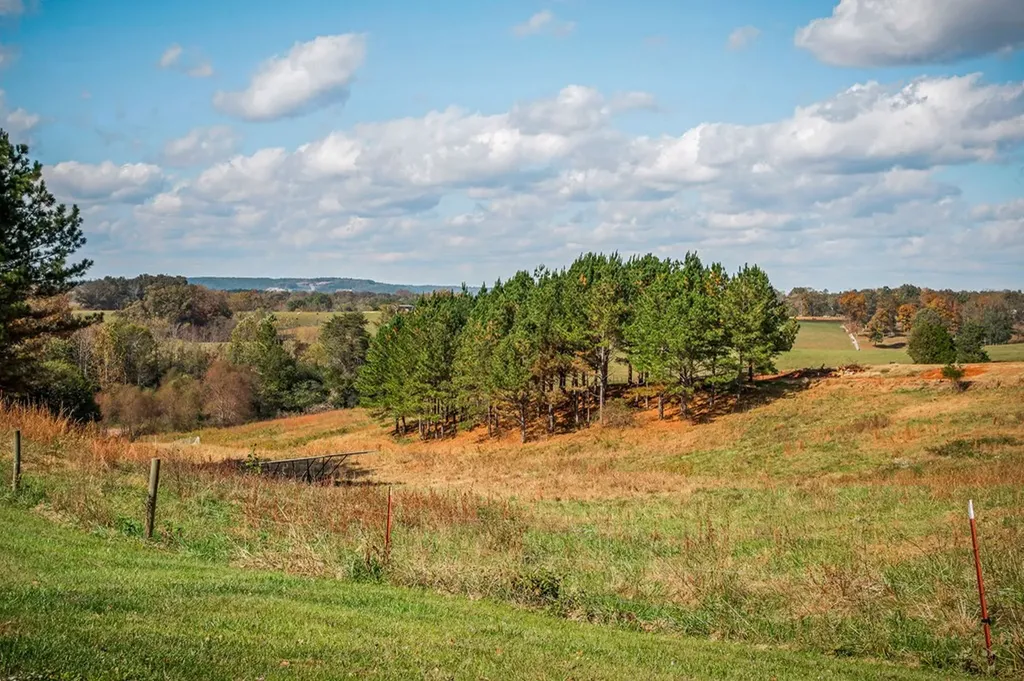 368 Bennett Road Sparta TN 38583