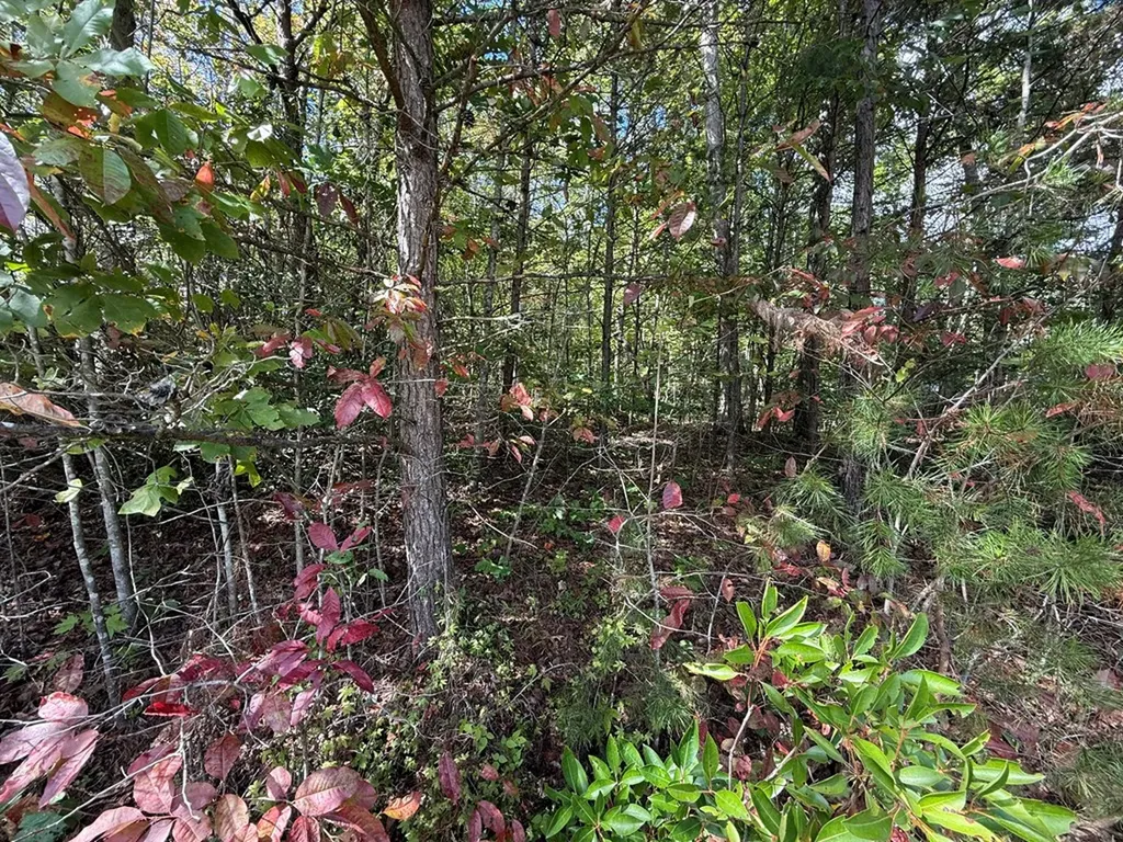 N/a Northwood Place Jamestown TN 38556
