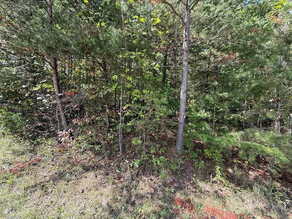 N/a Northwood Place Jamestown TN 38556