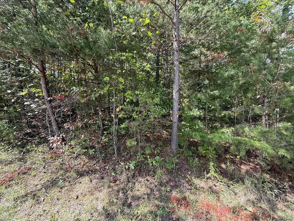 N/a Northwood Place Jamestown TN 38556