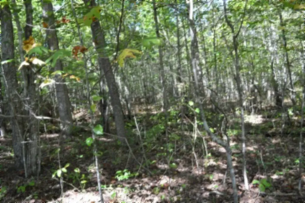 Lot 1 Aarow Trail Monterey TN 38574
