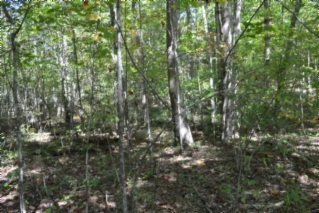 Lot 1 Aarow Trail Monterey TN 38574