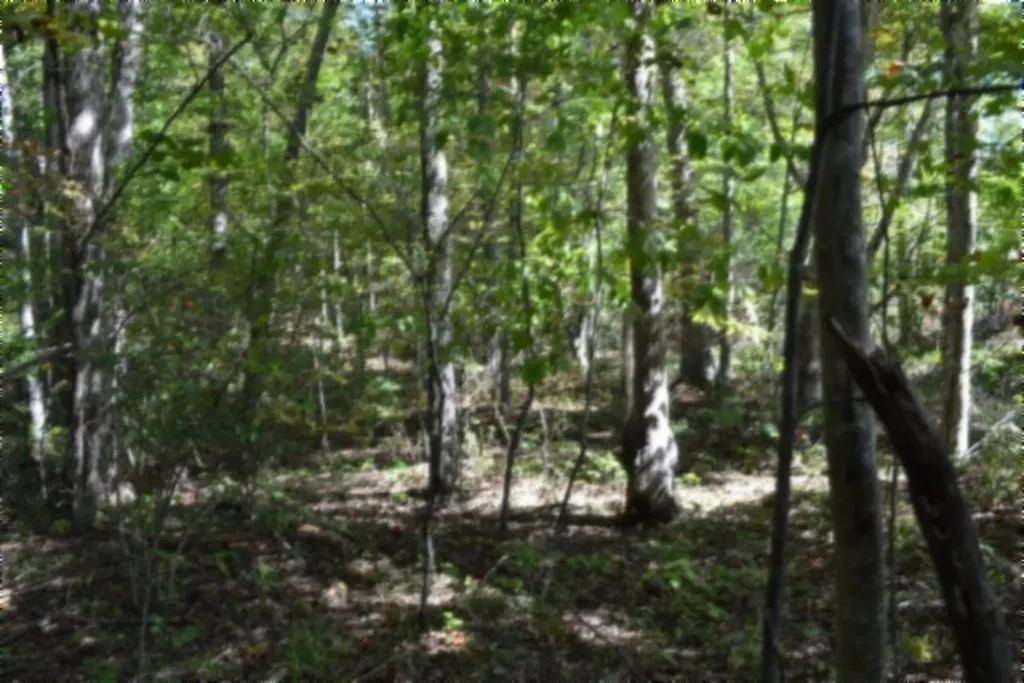 Lot 1 Aarow Trail Monterey TN 38574