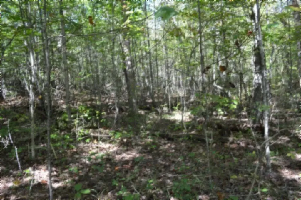 Lot 1 Aarow Trail Monterey TN 38574