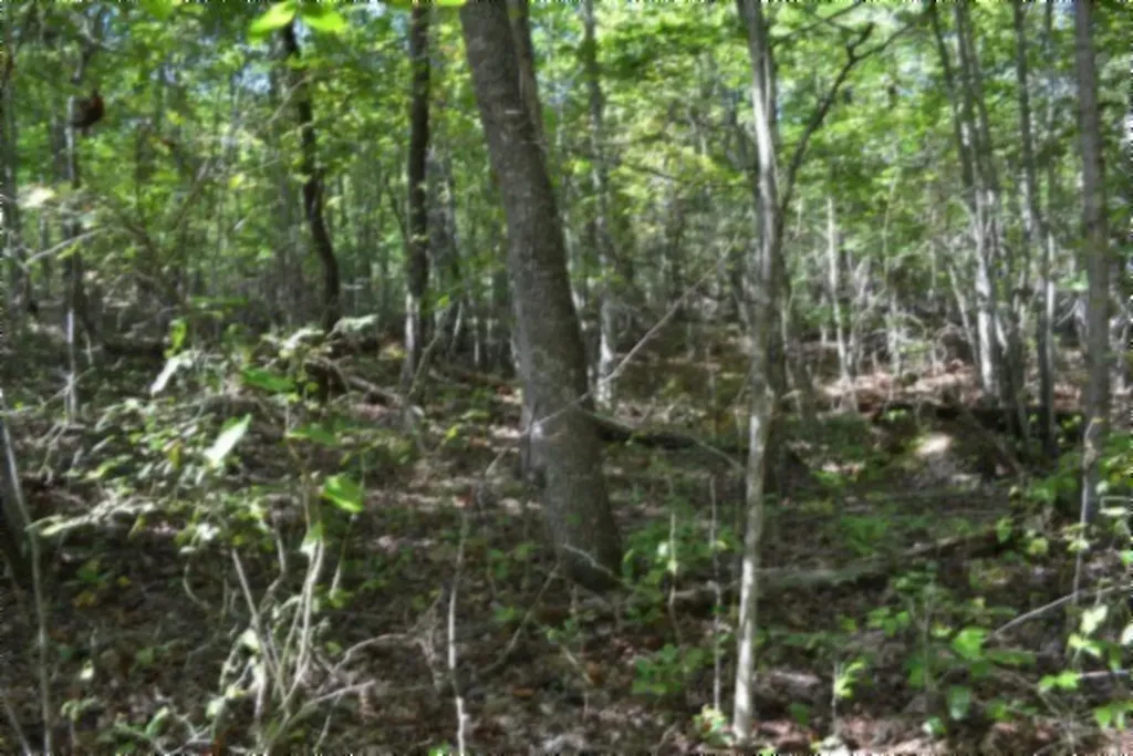 Lot 1 Aarow Trail Monterey TN 38574