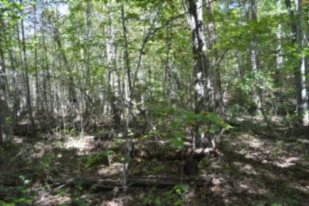 Lot 1 Aarow Trail Monterey TN 38574