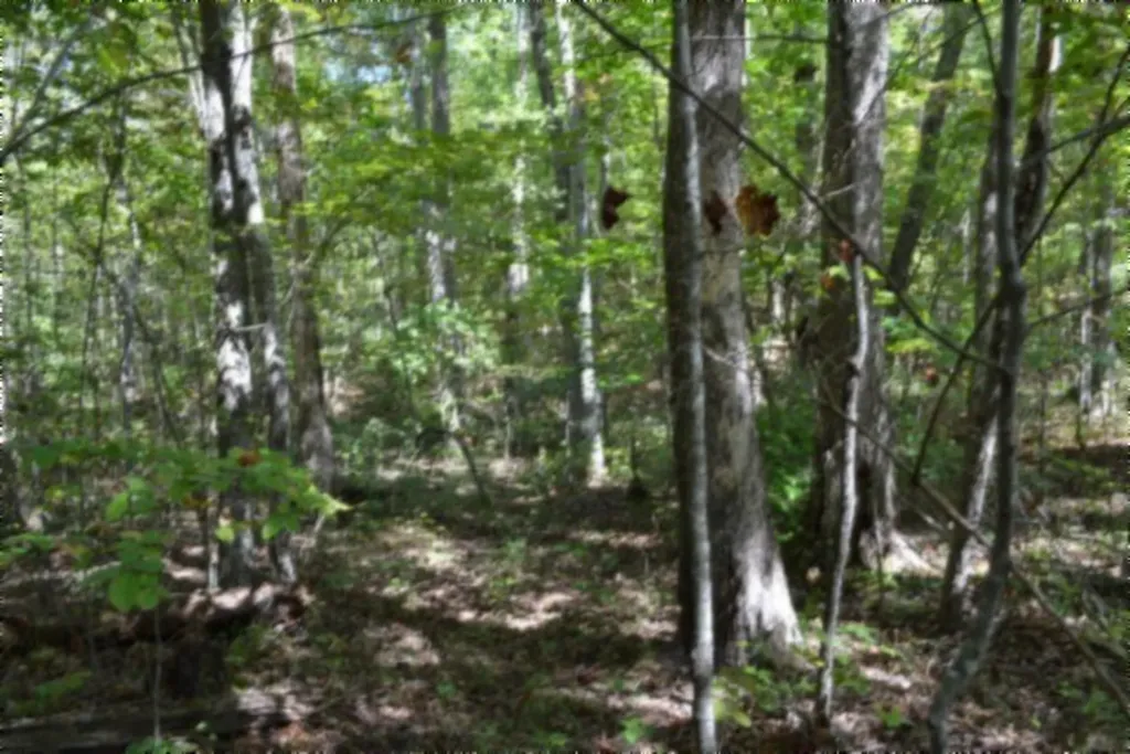 Lot 1 Aarow Trail Monterey TN 38574