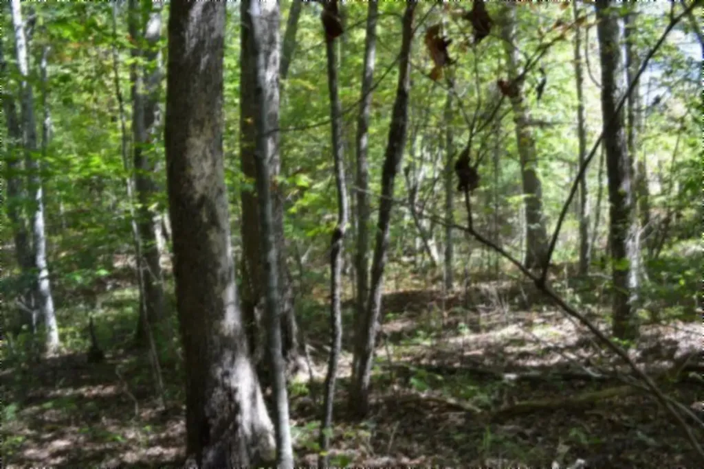 Lot 1 Aarow Trail Monterey TN 38574