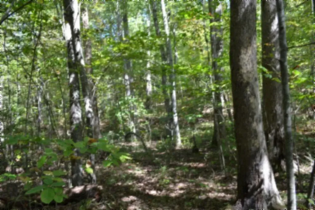 Lot 1 Aarow Trail Monterey TN 38574