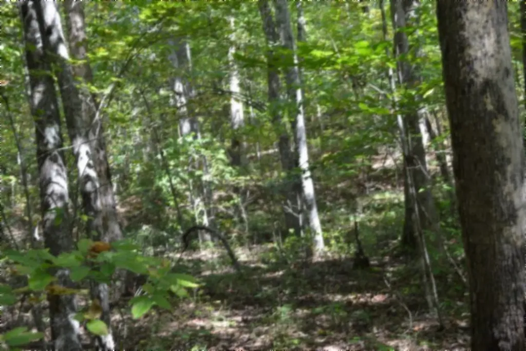 Lot 1 Aarow Trail Monterey TN 38574