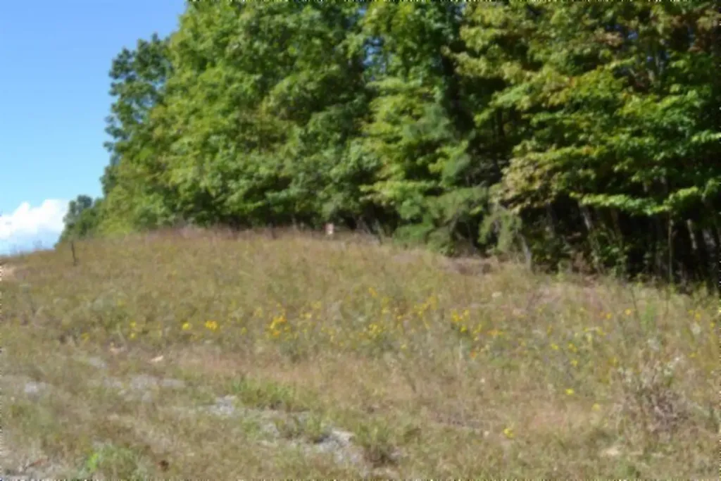 Lot 1 Aarow Trail Monterey TN 38574