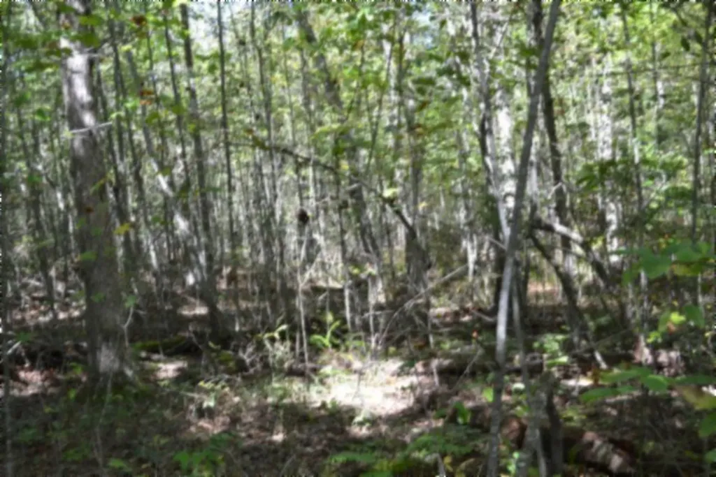 Lot 1 Aarow Trail Monterey TN 38574