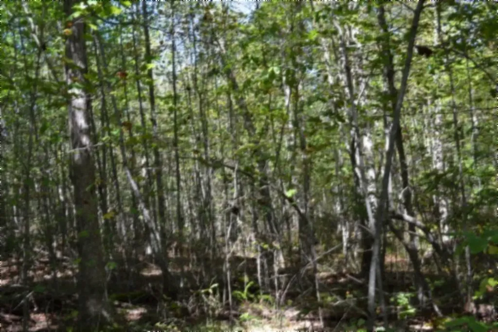 Lot 1 Aarow Trail Monterey TN 38574