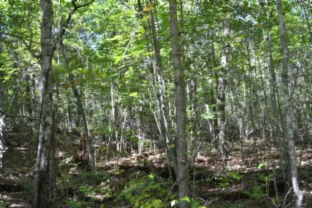 Lot 1 Aarow Trail Monterey TN 38574