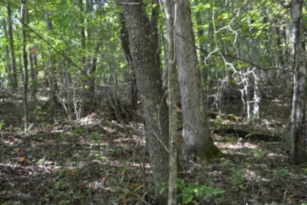 Lot 1 Aarow Trail Monterey TN 38574