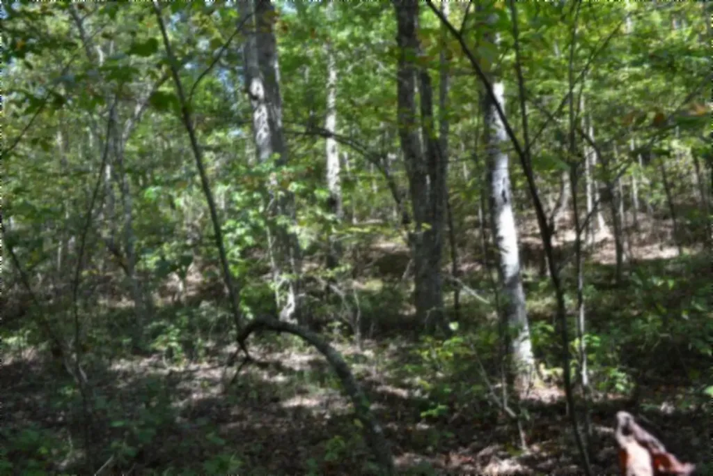 Lot 1 Aarow Trail Monterey TN 38574