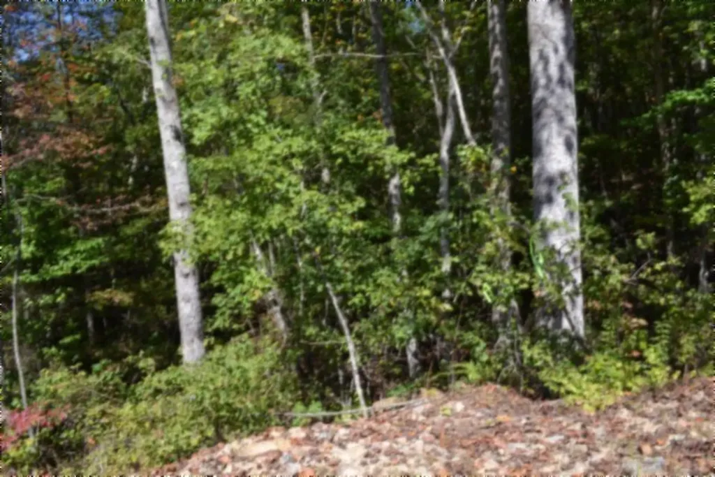 Lot 1 Aarow Trail Monterey TN 38574