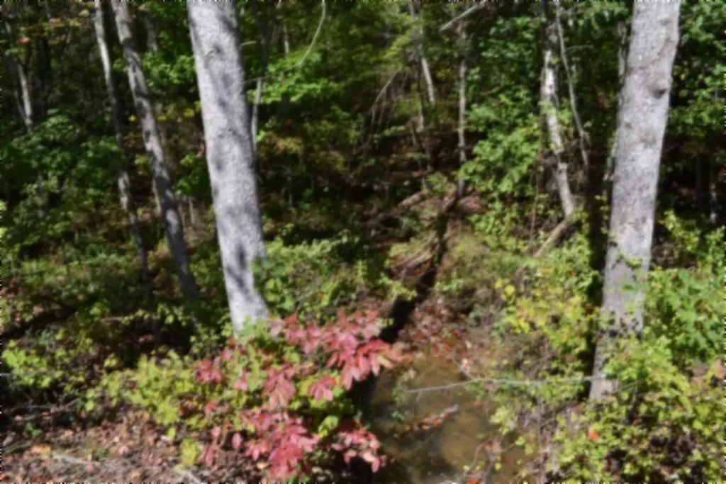 Lot 1 Aarow Trail Monterey TN 38574