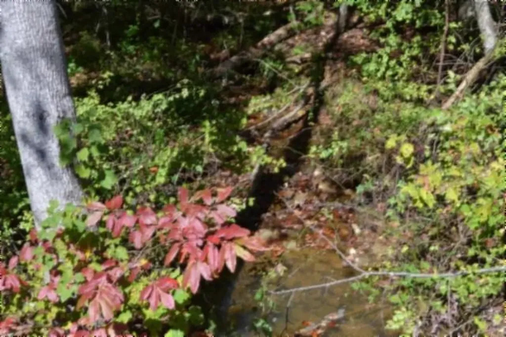 Lot 1 Aarow Trail Monterey TN 38574
