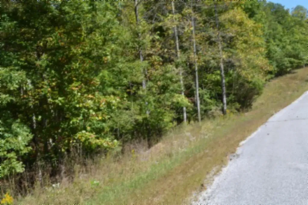 Lot 1 Aarow Trail Monterey TN 38574
