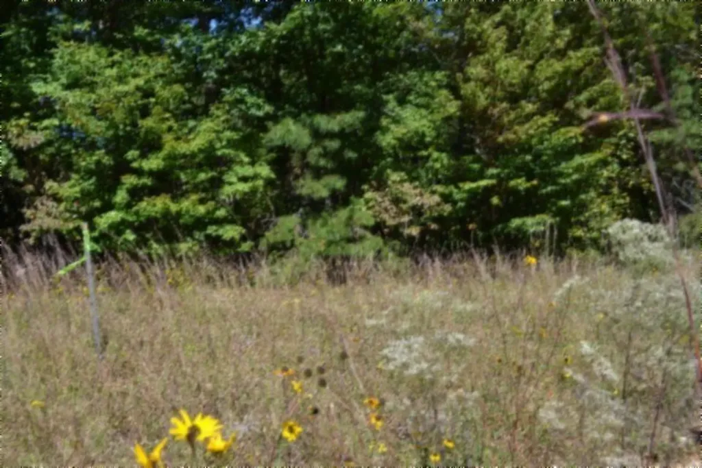 Lot 1 Aarow Trail Monterey TN 38574