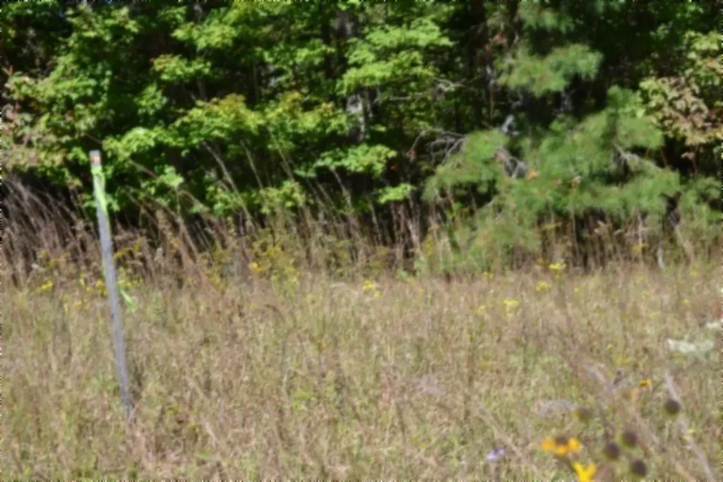 Lot 1 Aarow Trail Monterey TN 38574