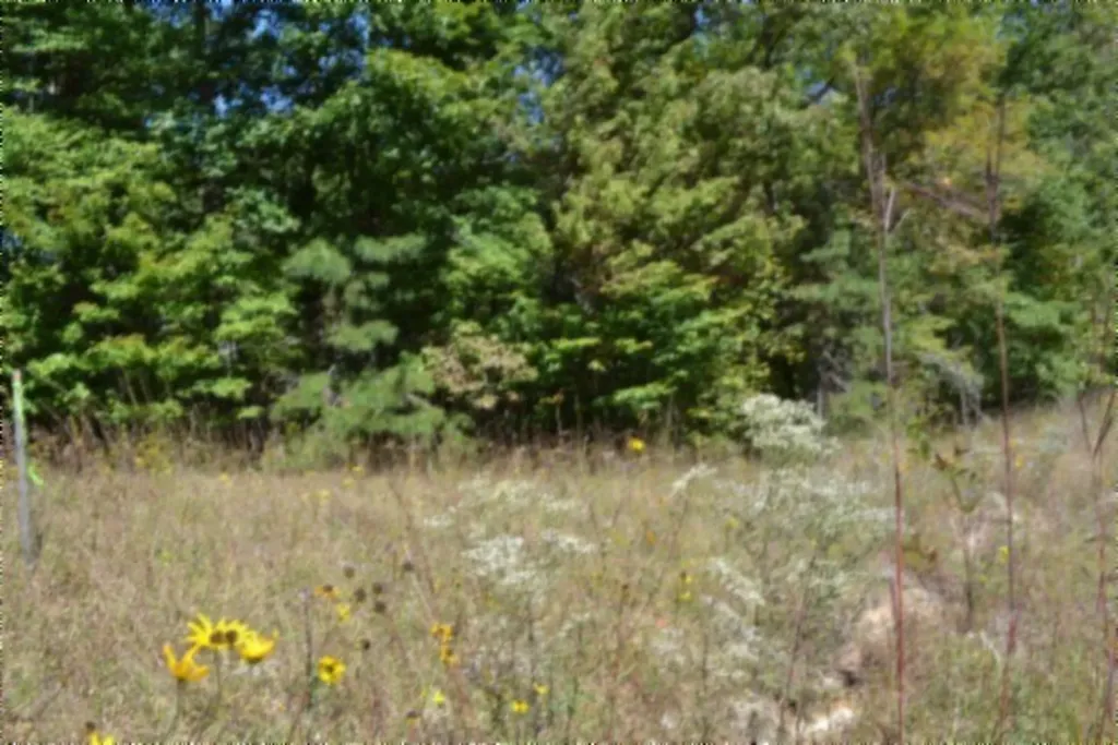 Lot 1 Aarow Trail Monterey TN 38574