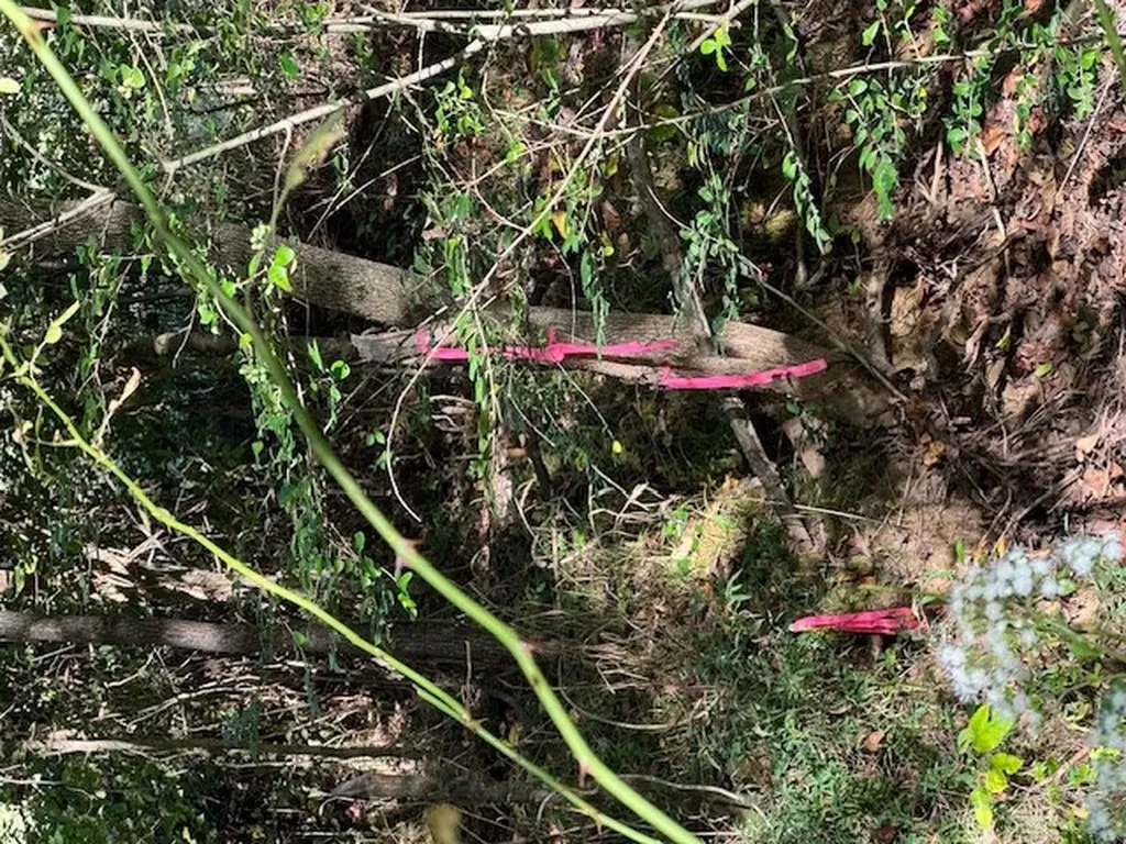 3.03 Ac Lonesome Valley Road Allons TN 38541